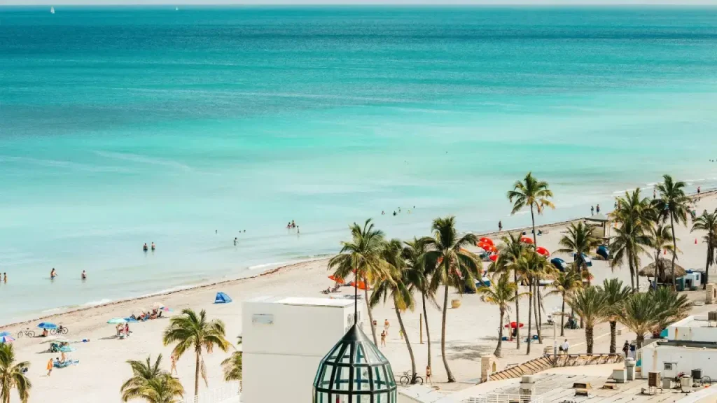 Palm-lined beach with calm blue water